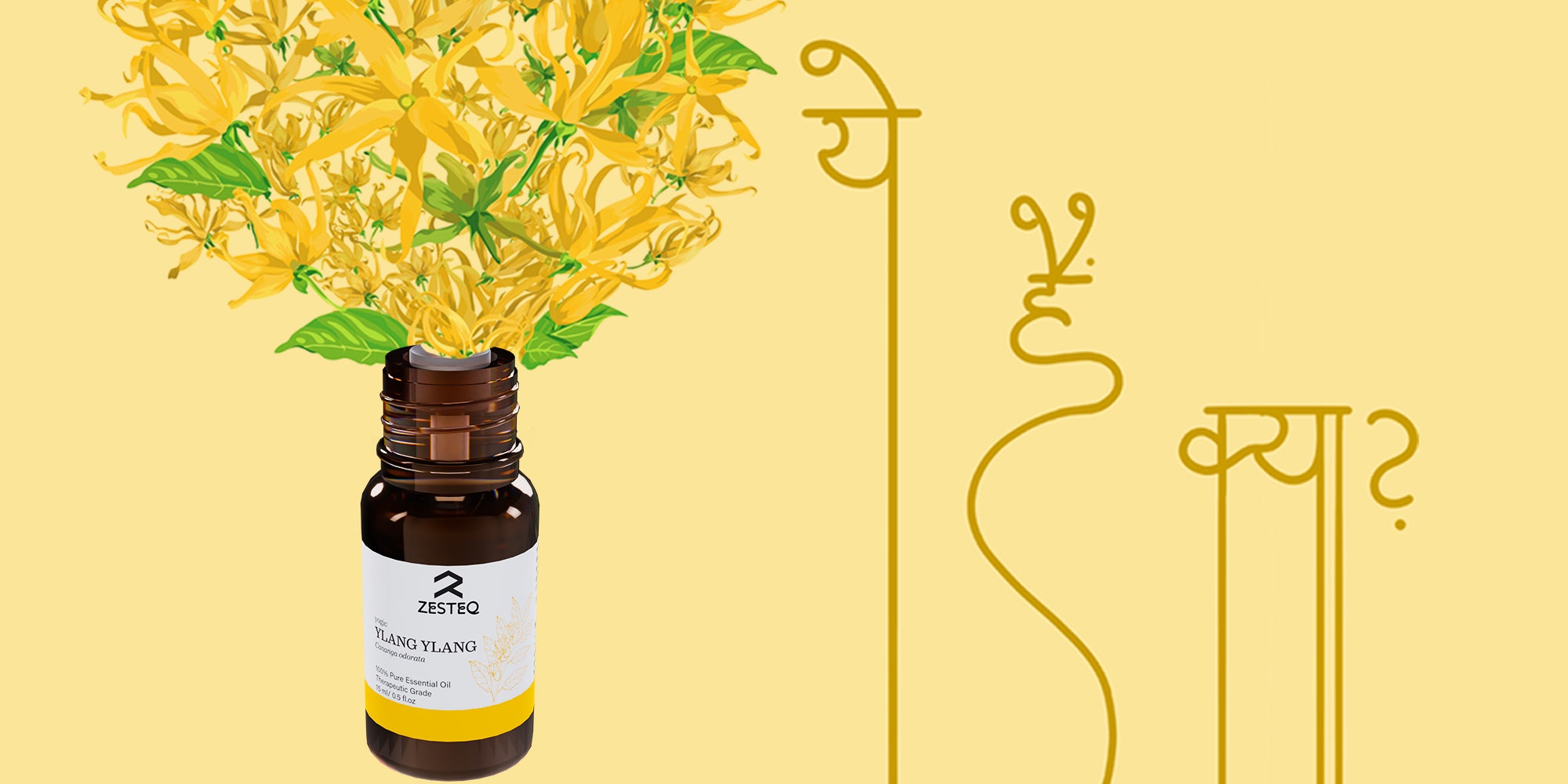 What is essential oil