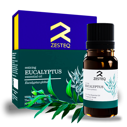 Enticing Eucalyptus Essential Oil - Essential Oils - Zesteq