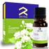 Jolly Jasmine Essential Oil - Essential Oils - Zesteq