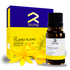 Yogic Ylang Ylang Essential Oil - Essential Oils - Zesteq