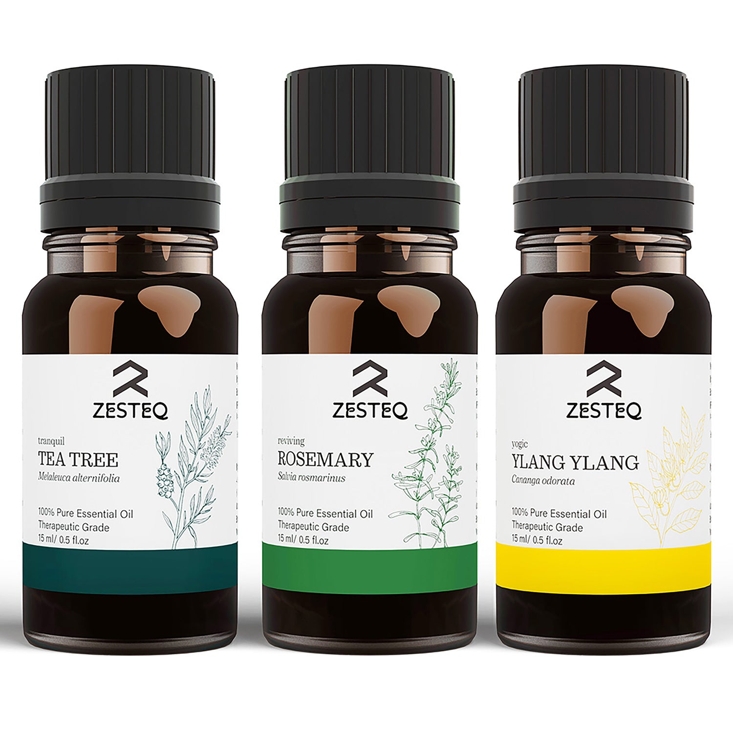 Zesteq Tea Tree, Rosemary &amp; Ylang Ylang Essential Oil Combo